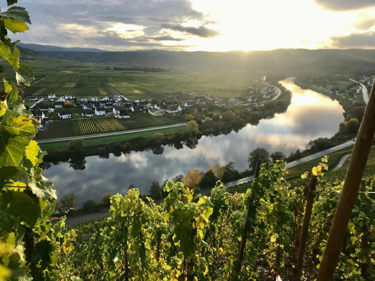 Weinlofts An Der Mosel Mit E10 Ladestation Apartamento Köwerich Exterior foto